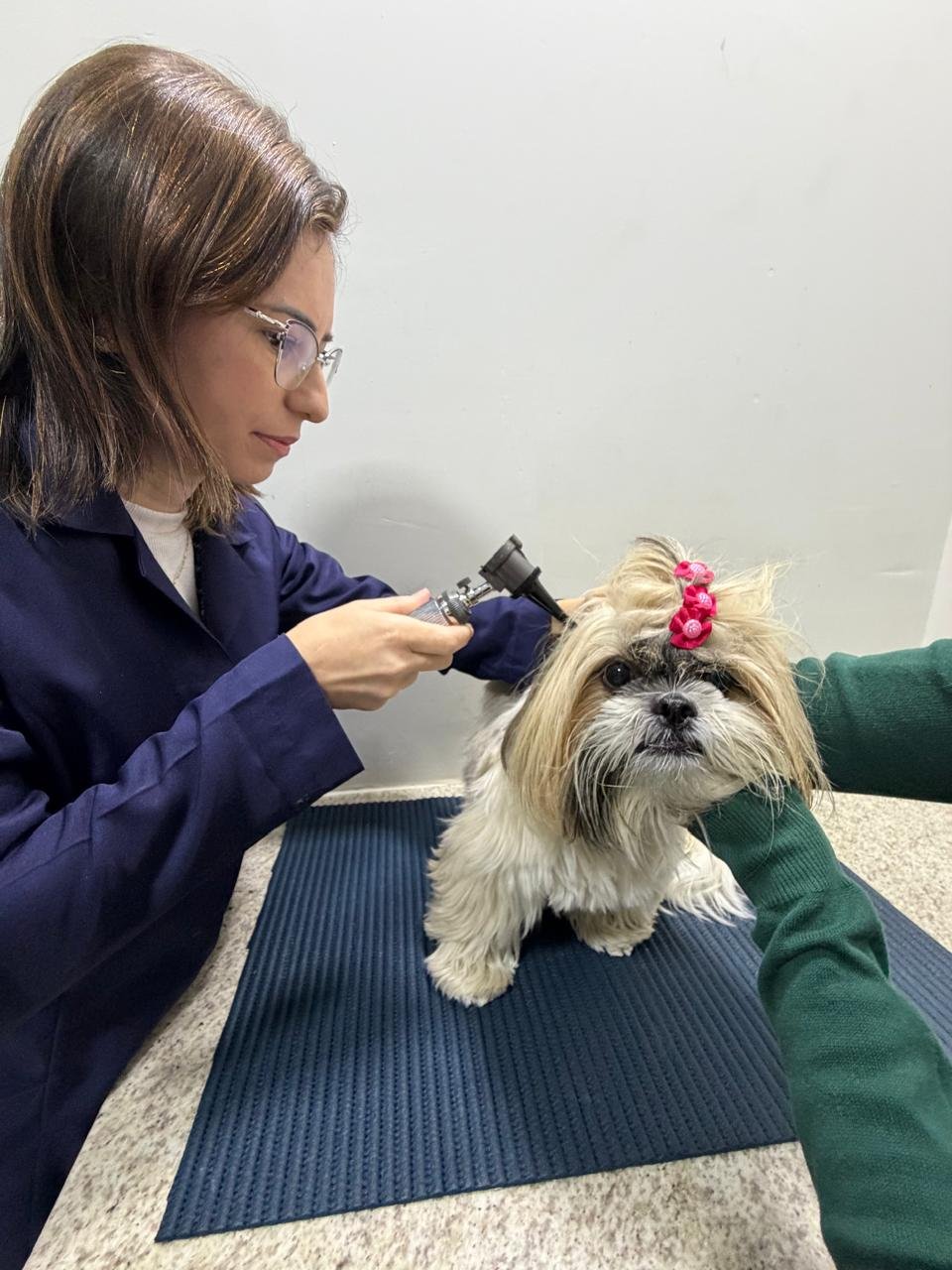 Diagnóstico Preciso - Atenção em cada detalhe na Vets Centro Veterinário 24h